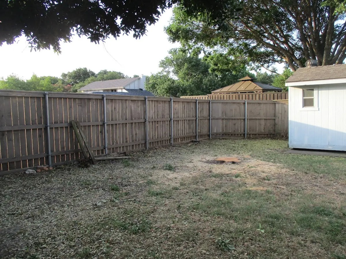 Cleared yard after professional tree removal in Murrells Inlet